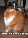 Cat Force Field