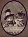 Vintage Cats