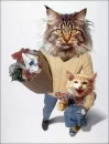  Funny Cats