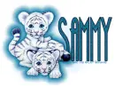 SAMMY Baby Tigers CB