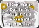 Bright As A Daisy
