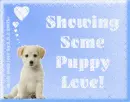 Puppy Love
