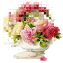 Rosey Cup
