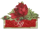 Tiff
