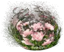 Floral Pink Peonies