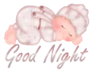 good night