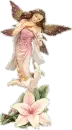 Fairy Tranquility