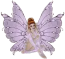 Pink Fairy Butterfly Sitting