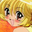 Pudding