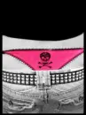 sexy skull 