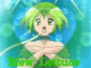 Mew Lettuce