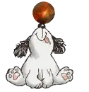 dog spins ball 