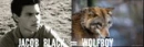Jacob Black