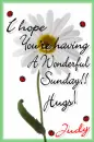 wonderful sunday daisy ladybug judy