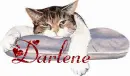 darlene