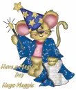 Magic Mouse with Maggie name