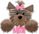 Maggie