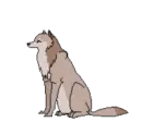 flying wolf