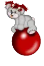 Bouncing Teddy