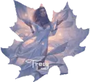 leaf-tracy