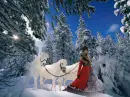 Lady Amongst Snowy Trees