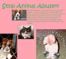 stop animal abuse