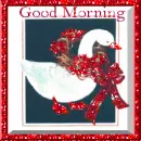 duck-good morning