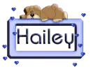 Hailey