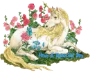 Unicorn Greetings
