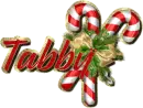 tabby
