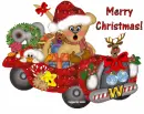 Bear in Car with Merry Christmas text