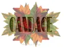 CANDACE Fall Leaves