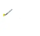 Darla Pen writing