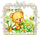 cute bear