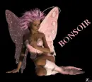 bonsoir