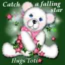 Catch a falling star - Toti