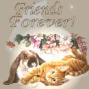 Friends Forever