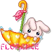 BUNNY IN UMBRELLA