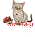 CAT WITH ROSE