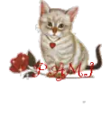 CAT WITH ROSE