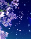 fantasy