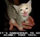 danger!