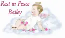 Angel baby with Bailey name