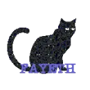 BLACK CAT