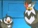 Staraptor and starly