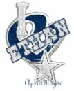dallas cowboys blue heart charm ethan