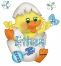 Boy chick in egg with Ethen name