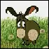 Donkey