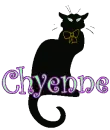 Black Cat Chyenne