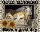 Good Morning Have a good day